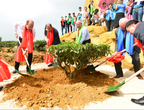 �α����ư������